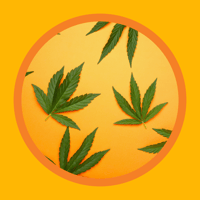 Cannabis_1500x1500