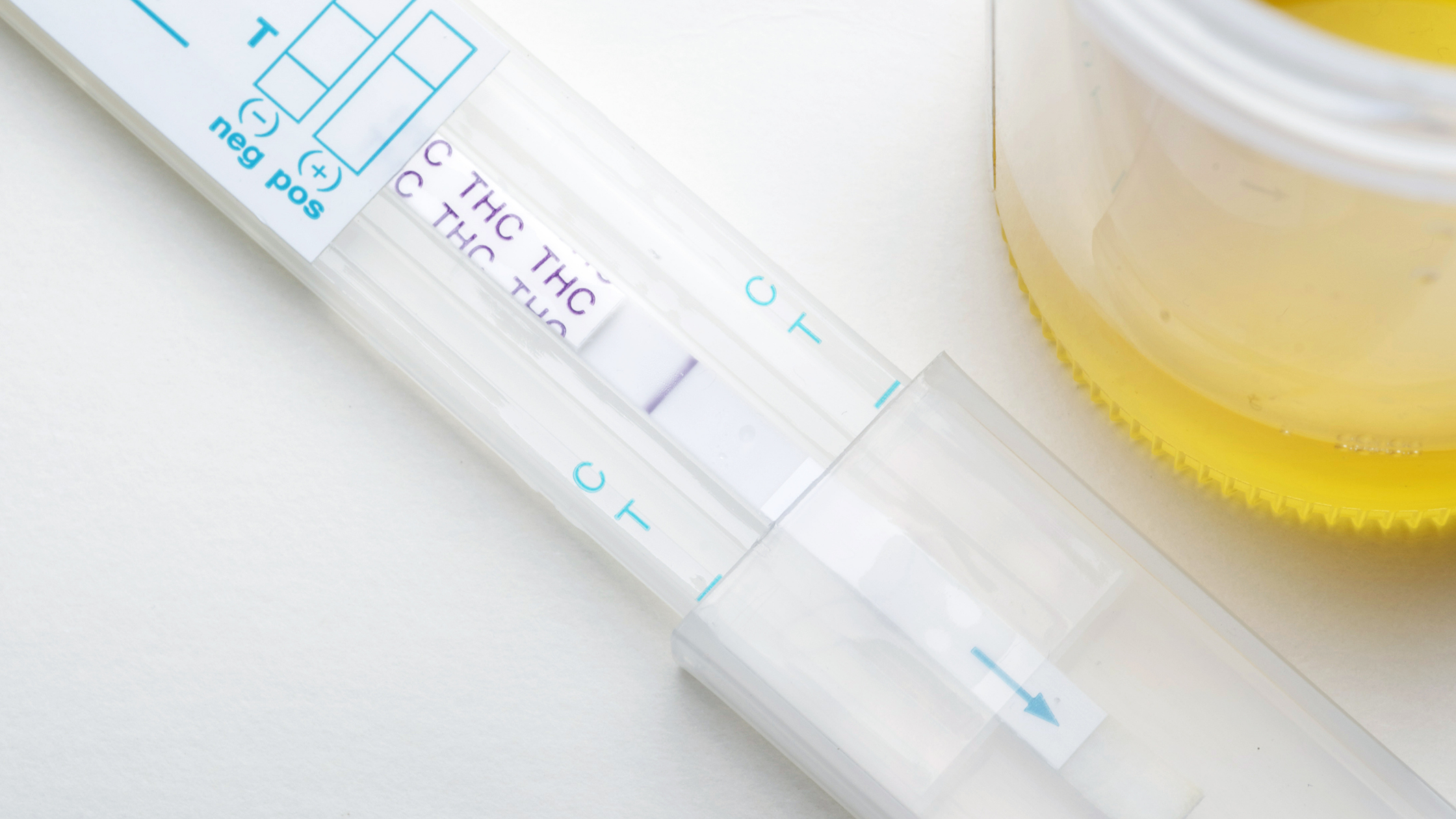 Philadelphia's New Ban On Pre-Employment Marijuana Testing
