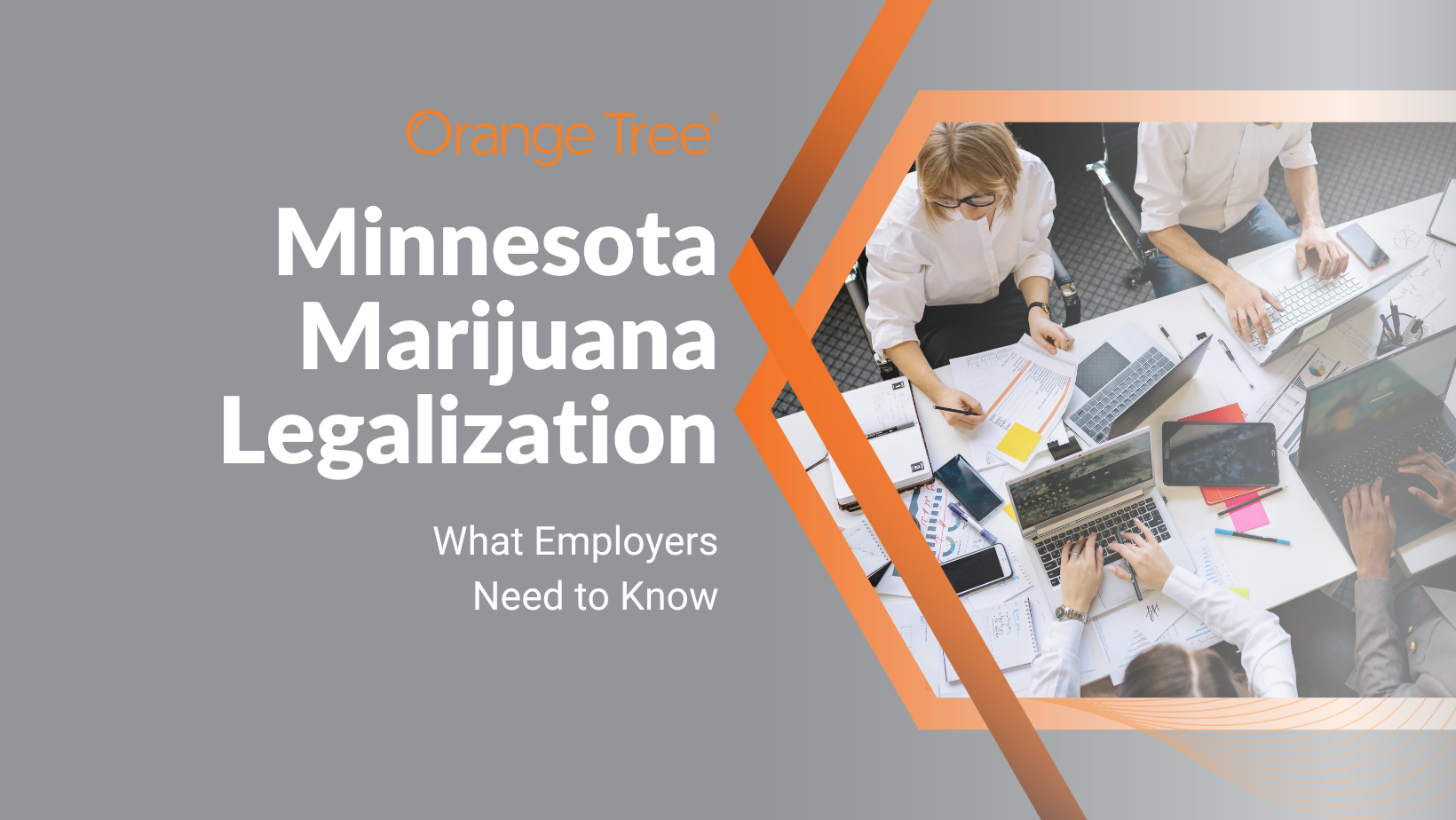 Minnesota Marijuana Legalization | Orange tree